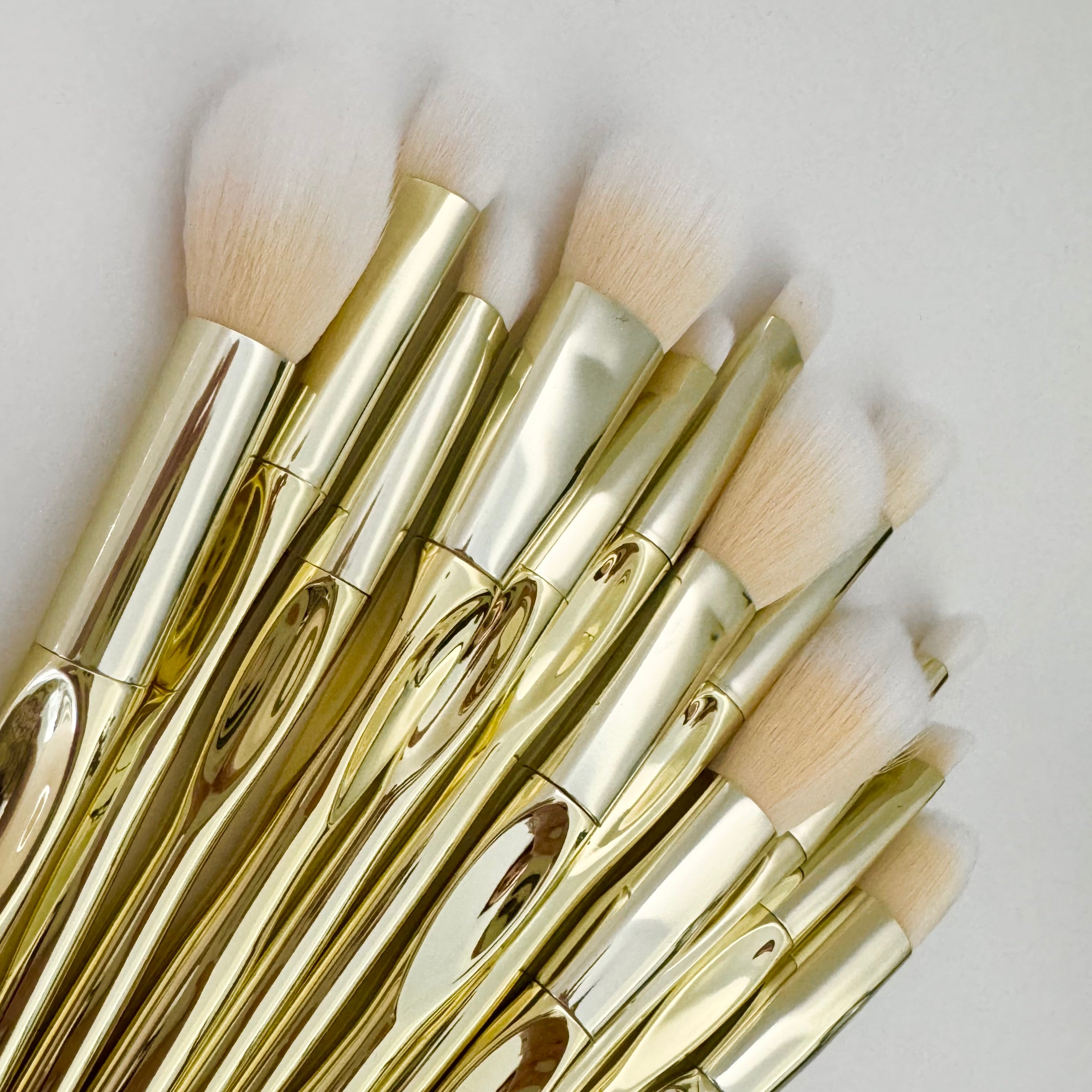 Makeup Brush Set