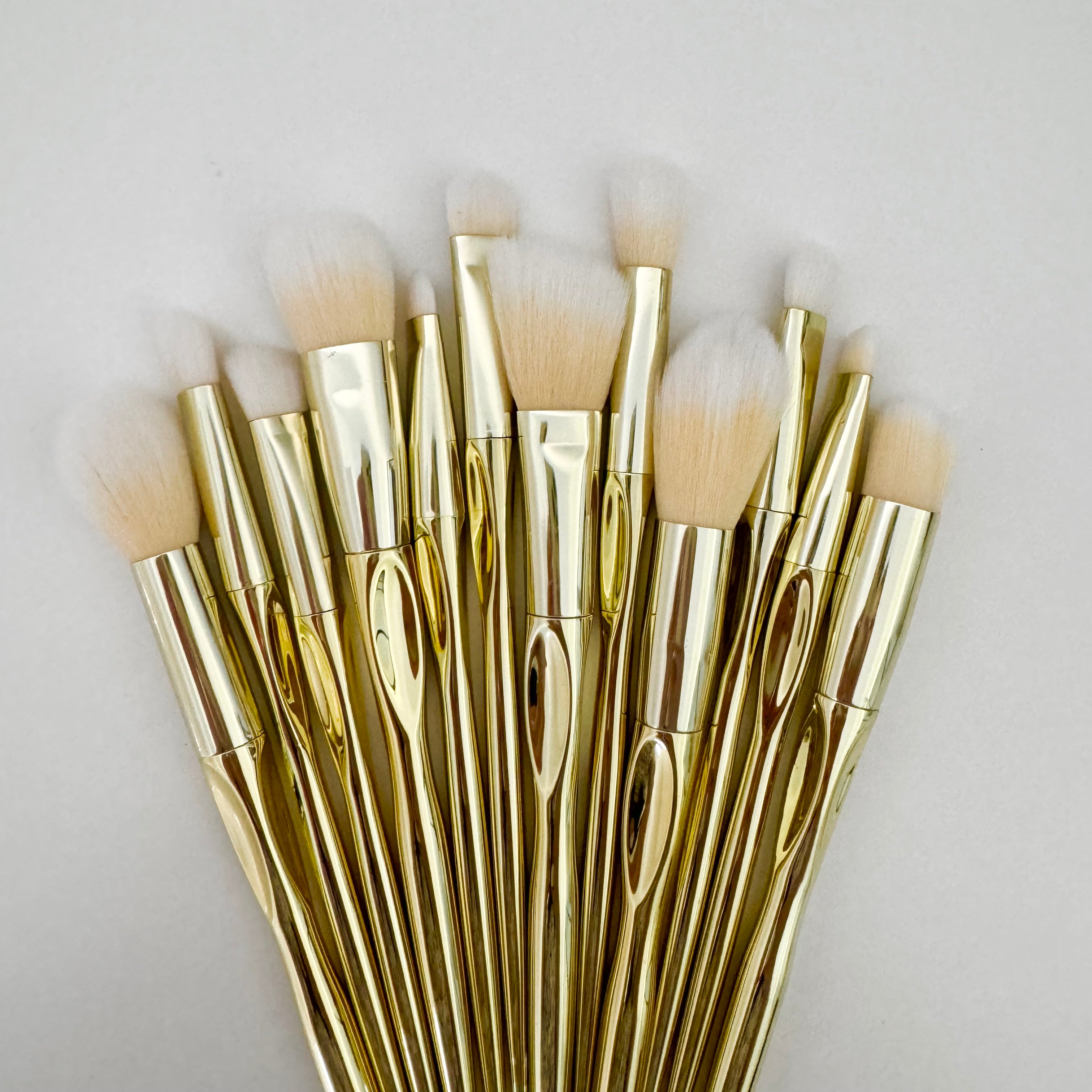 Makeup Brush Set